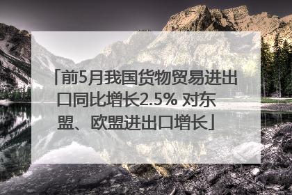 前5月我国货物贸易进出口同比增长2.5% 对东盟、欧盟进出口增长