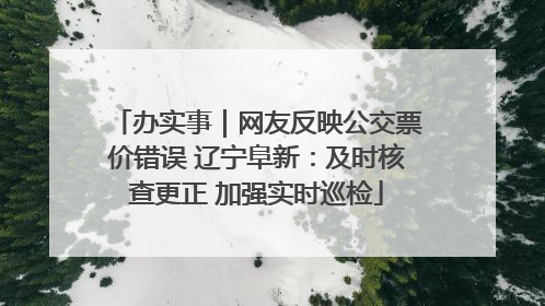 办实事｜网友反映公交票价错误 辽宁阜新：及时核查更正 加强实时巡检