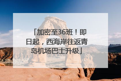 加密至36班！即日起，西海岸往返青岛机场巴士升级