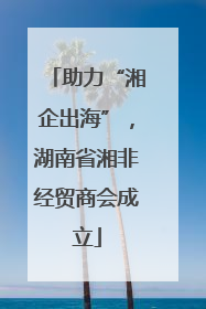 助力“湘企出海”，湖南省湘非经贸商会成立