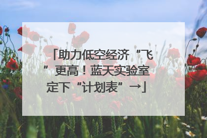 助力低空经济“飞”更高！蓝天实验室定下“计划表”→