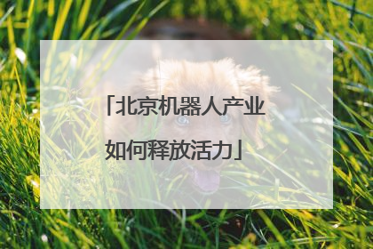 北京机器人产业如何释放活力