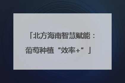 北方海南智慧赋能：葡萄种植“效率+”