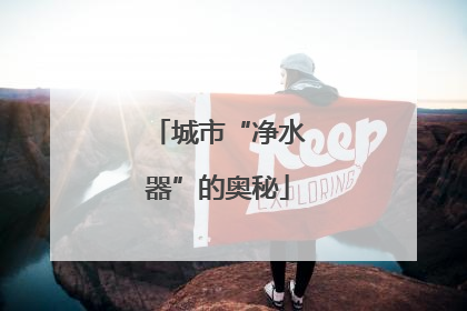 城市“净水器”的奥秘