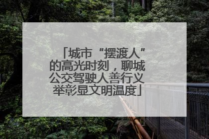 城市“摆渡人”的高光时刻，聊城公交驾驶人善行义举彰显文明温度