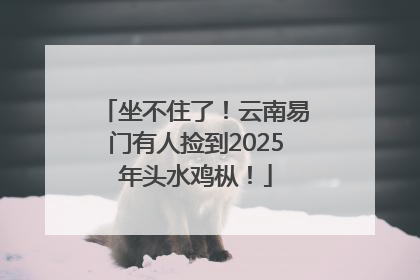 坐不住了！云南易门有人捡到2025年头水鸡枞！