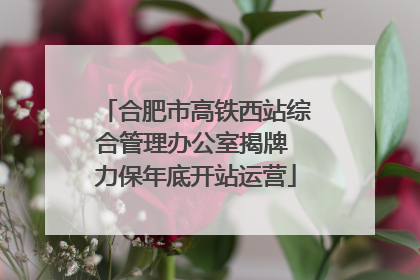合肥市高铁西站综合管理办公室揭牌 力保年底开站运营