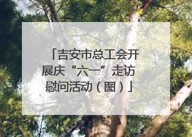 吉安市总工会开展庆“六一”走访慰问活动（图）