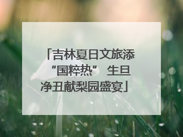 吉林夏日文旅添“国粹热” 生旦净丑献梨园盛宴