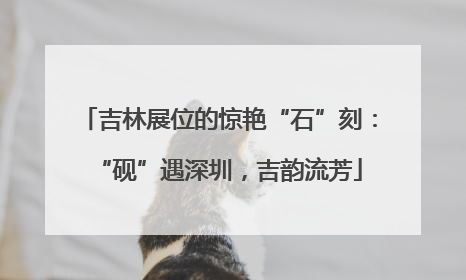 吉林展位的惊艳“石”刻：“砚”遇深圳，吉韵流芳