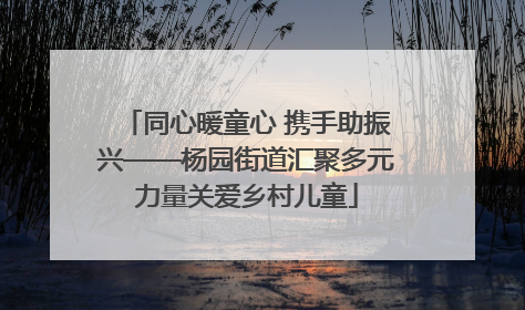 同心暖童心 携手助振兴——杨园街道汇聚多元力量关爱乡村儿童