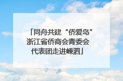 同舟共建“侨爱岛” 浙江省侨商会青委会代表团走进嵊泗