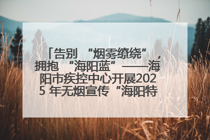 告别 “烟雾缭绕”，拥抱 “海阳蓝”——海阳市疾控中心开展2025 年无烟宣传“海阳特色”实践记录