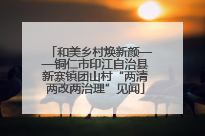 和美乡村焕新颜——铜仁市印江自治县新寨镇团山村“两清两改两治理”见闻
