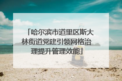 哈尔滨市道里区斯大林街道党建引领网格治理提升管理效能