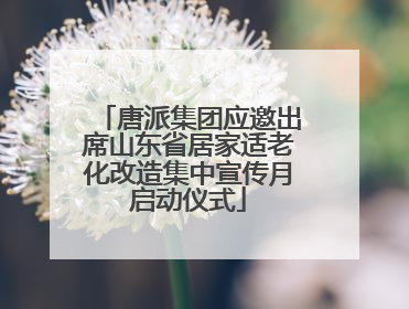 唐派集团应邀出席山东省居家适老化改造集中宣传月启动仪式