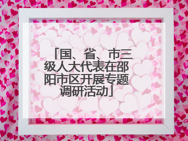 国、省、市三级人大代表在邵阳市区开展专题调研活动