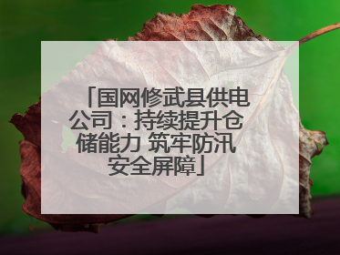 国网修武县供电公司：持续提升仓储能力 筑牢防汛安全屏障