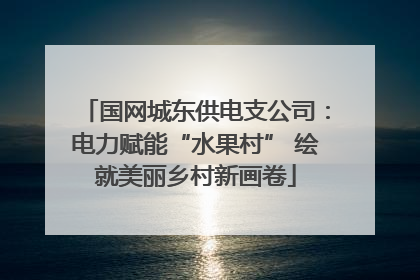 国网城东供电支公司：电力赋能“水果村” 绘就美丽乡村新画卷