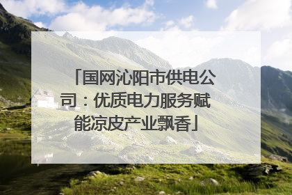 国网沁阳市供电公司：优质电力服务赋能凉皮产业飘香
