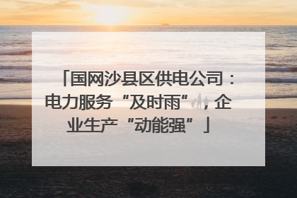 国网沙县区供电公司：电力服务“及时雨”，企业生产“动能强”
