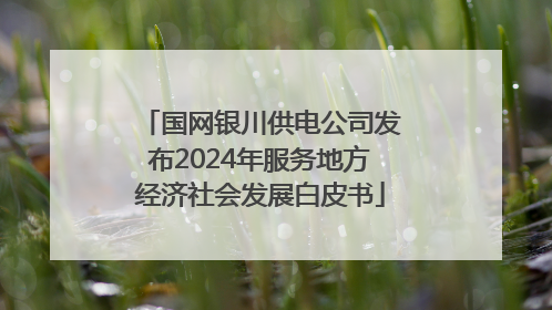 国网银川供电公司发布2024年服务地方经济社会发展白皮书