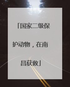 国家二级保护动物，在南昌获救