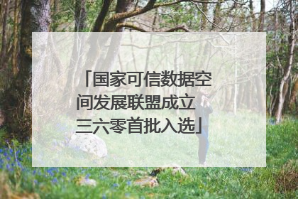 国家可信数据空间发展联盟成立 三六零首批入选