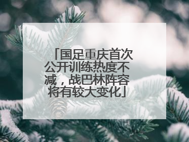 国足重庆首次公开训练热度不减，战巴林阵容将有较大变化