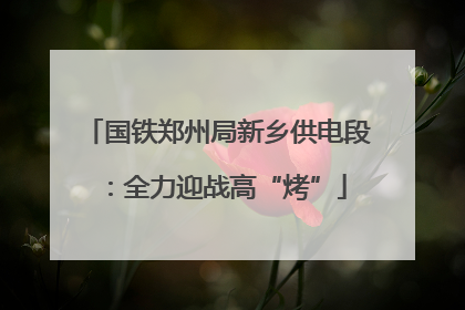 国铁郑州局新乡供电段：全力迎战高“烤”