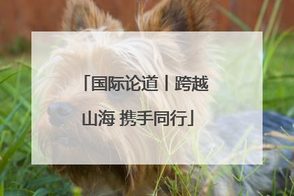 国际论道丨跨越山海 携手同行