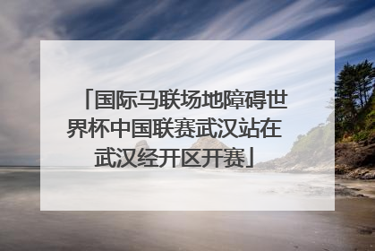 国际马联场地障碍世界杯中国联赛武汉站在武汉经开区开赛