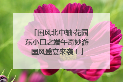 国风北中轴·花园东小口之端午奇妙游国风盛宴来袭！