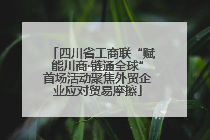 四川省工商联“赋能川商·链通全球”首场活动聚焦外贸企业应对贸易摩擦