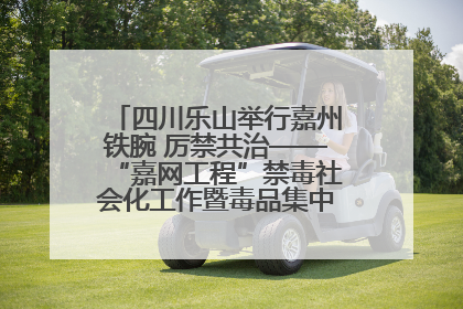 四川乐山举行嘉州铁腕 厉禁共治——“嘉网工程”禁毒社会化工作暨毒品集中销毁启动仪式