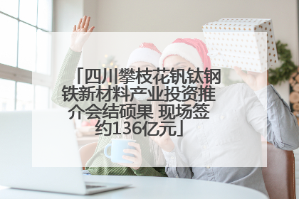 四川攀枝花钒钛钢铁新材料产业投资推介会结硕果 现场签约136亿元