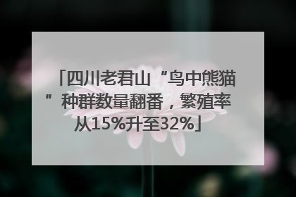四川老君山“鸟中熊猫”种群数量翻番，繁殖率从15%升至32%