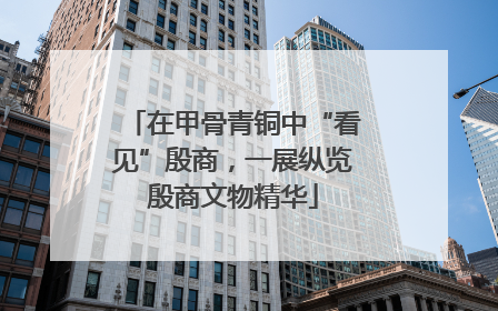 在甲骨青铜中“看见”殷商，一展纵览殷商文物精华