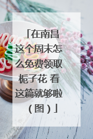 在南昌 这个周末怎么免费领取栀子花 看这篇就够啦（图）