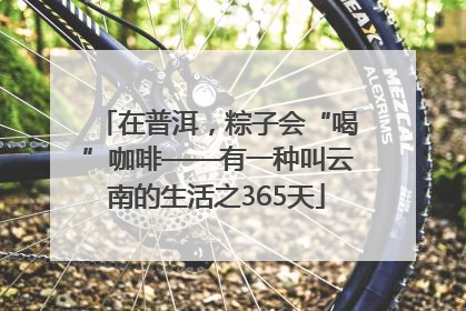 在普洱，粽子会“喝”咖啡——有一种叫云南的生活之365天