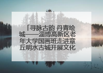 寻脉古韵 丹青绘城——淄博高新区老年大学国画班走进章丘明水古城开展文化研学活动