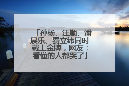 孙杨、汪顺、潘展乐、费立纬同时戴上金牌，网友：看懂的人都哭了