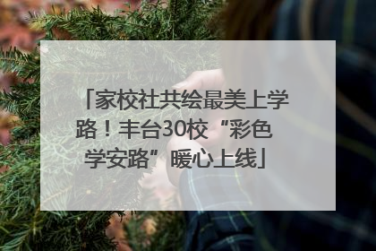 家校社共绘最美上学路！丰台30校“彩色学安路”暖心上线