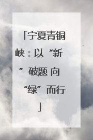 宁夏青铜峡：以“新”破题 向“绿”而行