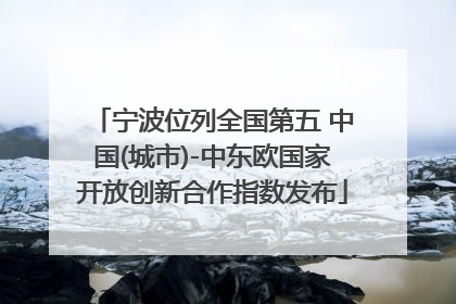 宁波位列全国第五 中国(城市)-中东欧国家开放创新合作指数发布