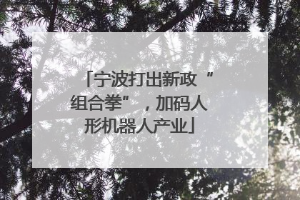宁波打出新政“组合拳”，加码人形机器人产业