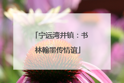 宁远湾井镇：书林翰墨传情谊