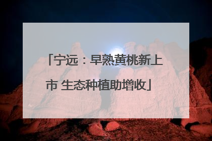 宁远：早熟黄桃新上市 生态种植助增收