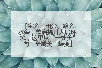宅旁、田旁、路旁、水旁，整治提升人居环境，这里从“一处美”向“全域美”蝶变
