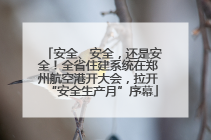 安全、安全，还是安全！全省住建系统在郑州航空港开大会，拉开“安全生产月”序幕